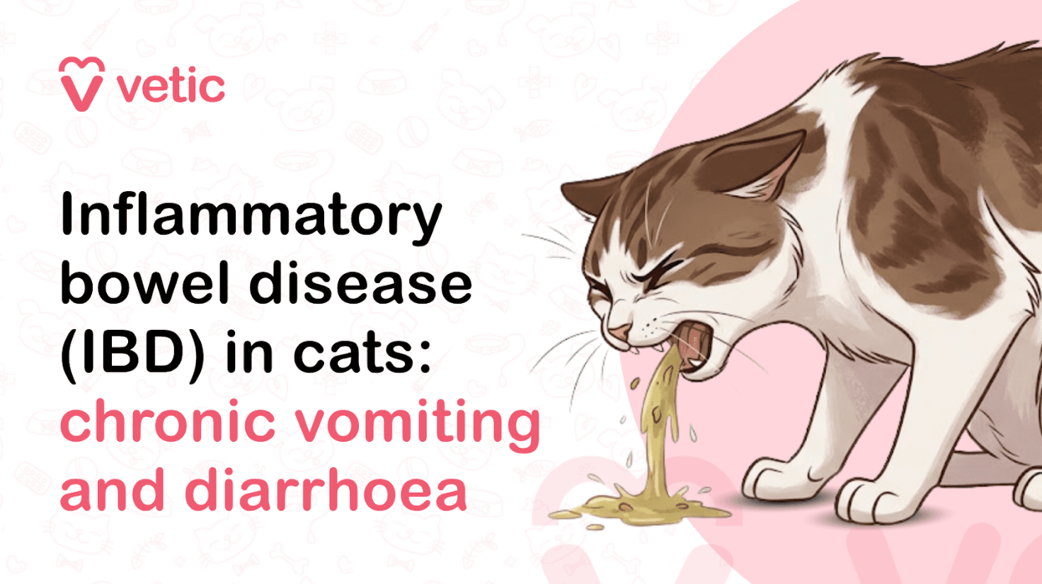 Inflammatory Bowel Disease (IBD) in Cats: Chronic Vomiting and Diarrhoea Explained