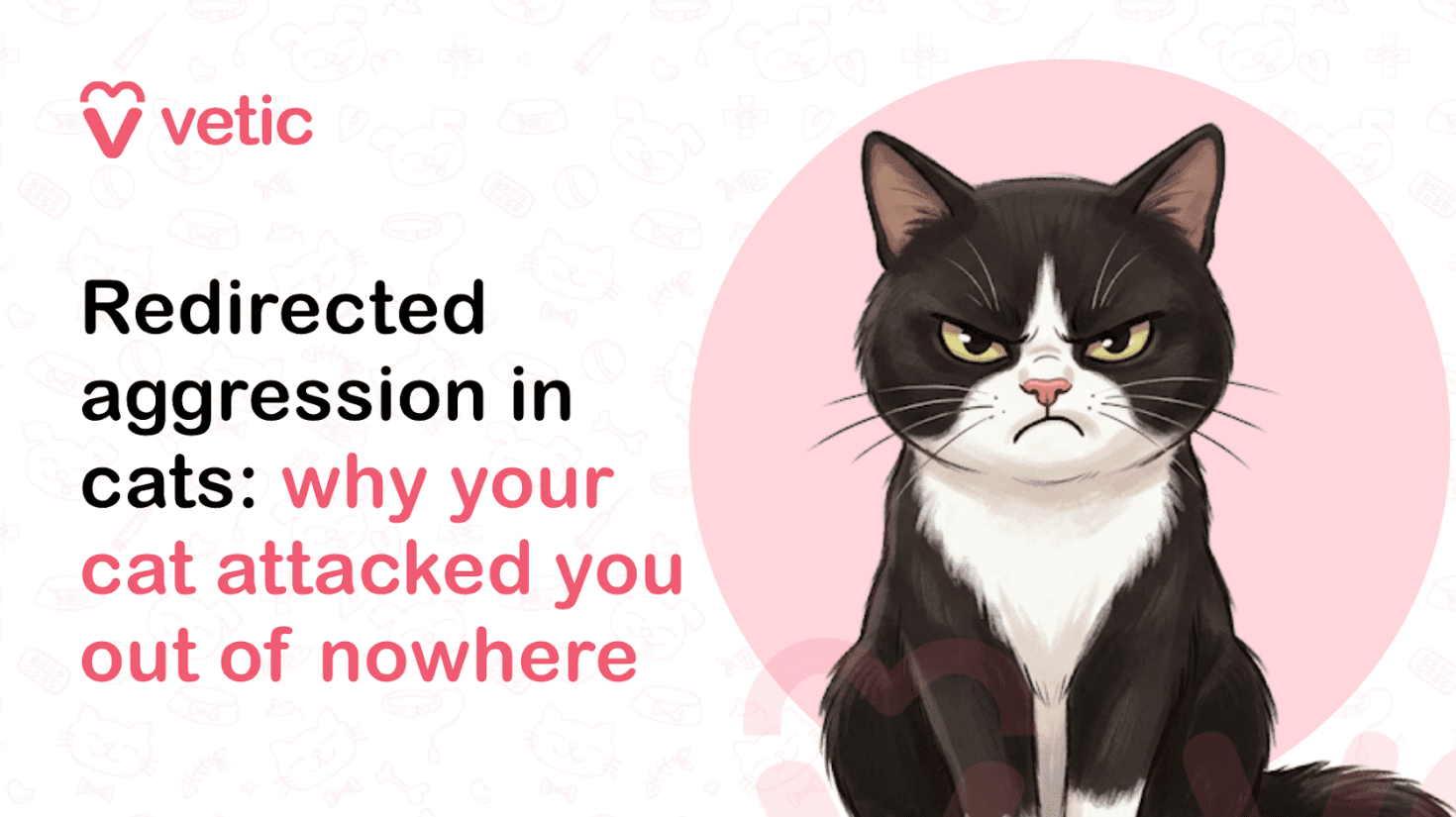 Redirected Aggression in Cats: Why Your Cat Attacked You Out of Nowhere