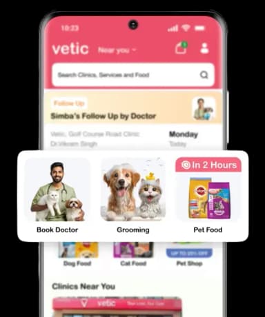 Vetic App on Phone Mobile View