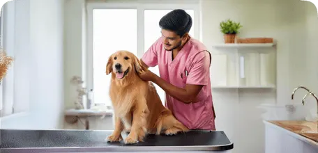 Holistic Care